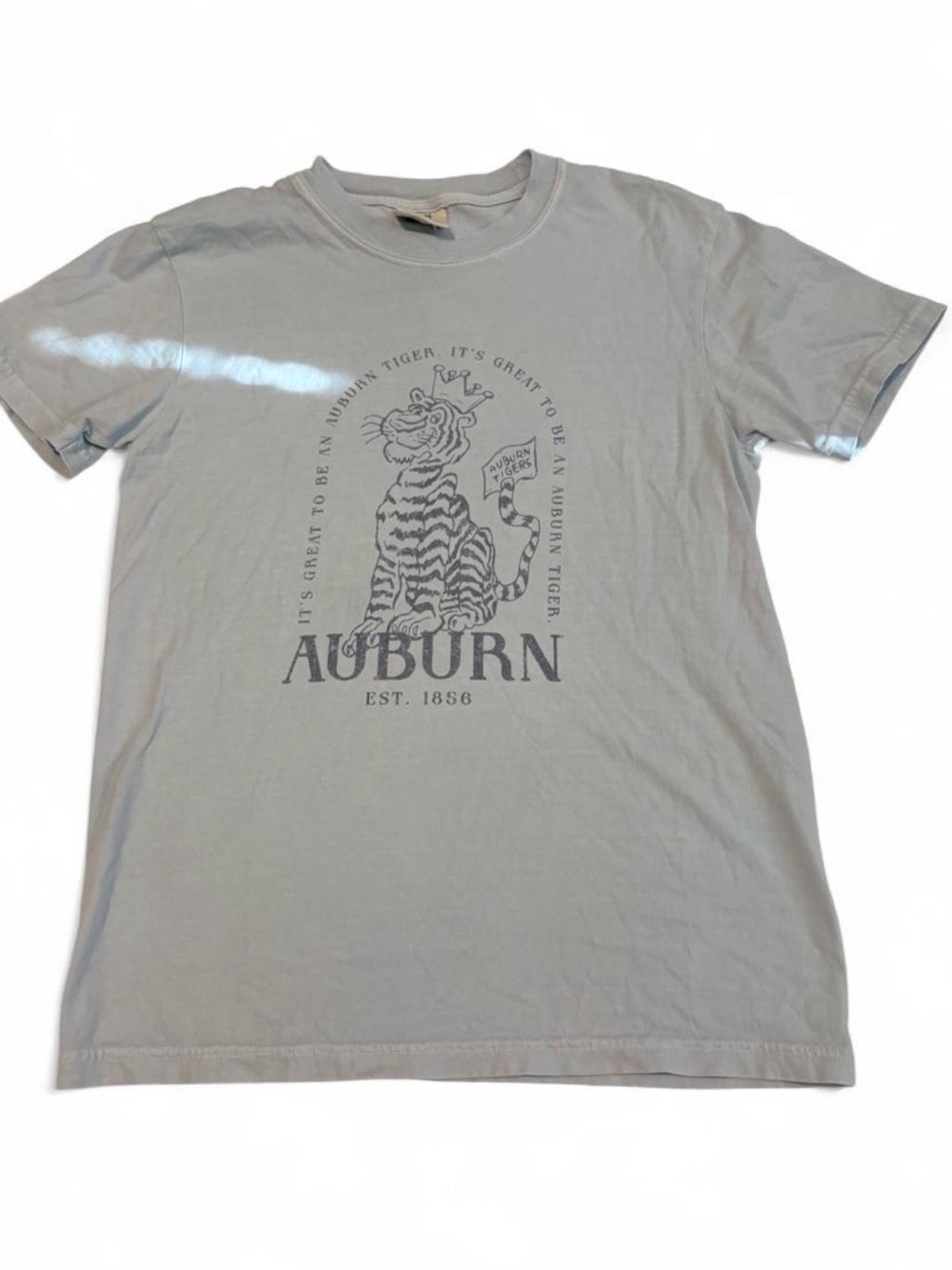 University Blue Graphic Tiger T-Shirt